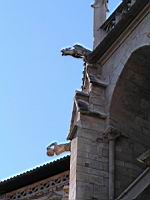 Lyon, Cathedrale Saint Jean, Gargouille, Dragon